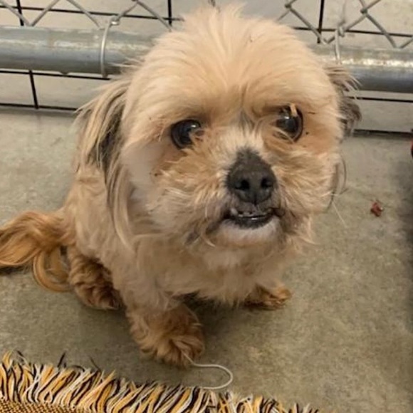 Posh Ambassador for Jane Iredale 🥰 - Picture 8 of 16